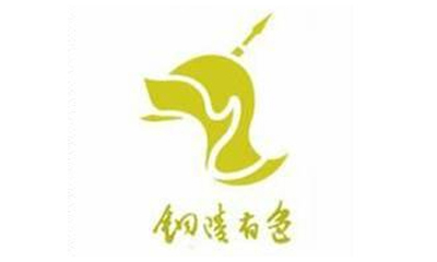 铜陵有色金属集团